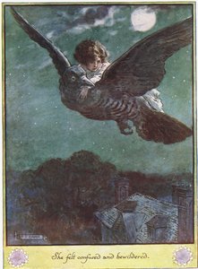 Flight on the Bird, illustration från 